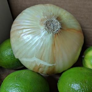 Butcher Shop (Deathriddim Edit)