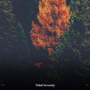 Birds Chirping And Water Sounds