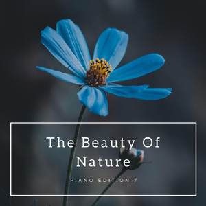 Endless Waiting (Forest Version)