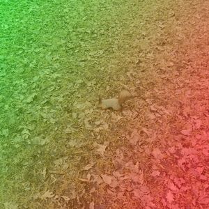 пятнадцатилетняя шлюха (prod. by amormío)