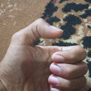Kulub Sampe
