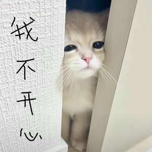 一个泪点