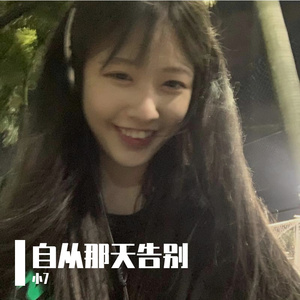 自从那天告别（小7 remix）