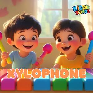 Xylophone