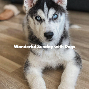 Friendly (The Cutest Puppy)