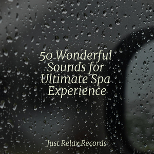 Enchanted Amour's Harmony