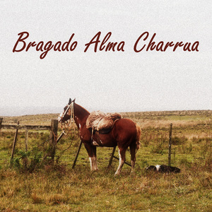Bragado Alma Charrua