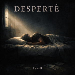 Desperté