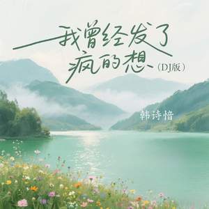 我曾经发了疯的想(DJ版)