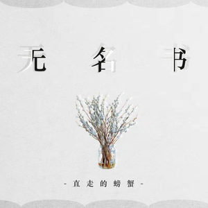 无名书