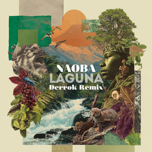 LAGUNA (Derrok remix)