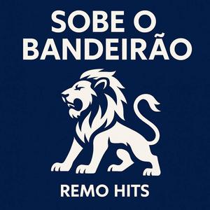 SOBE O BANDEIRÃO