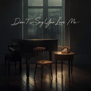 Don’t Say You Love Me Now