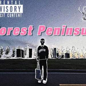 Forest Peninsula 森林半岛