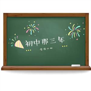 初中那三年