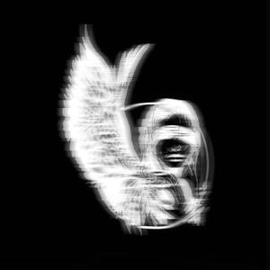 Hallucination（ 致 幻 ）