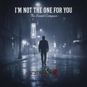 I'm Not The One For You