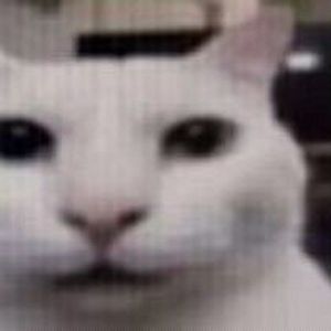 [free]mixed matches type beat