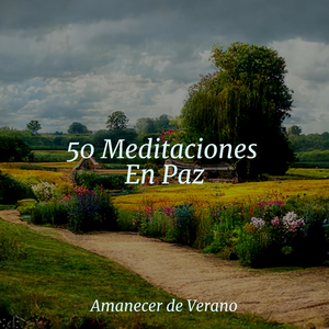 Sueño Dorado Alejándome