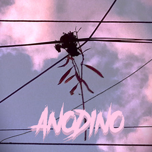 ANODINO