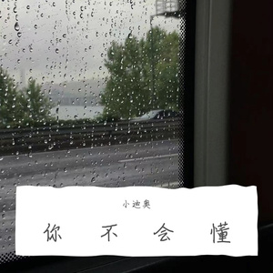 你不会懂（cover Joysaaaa）