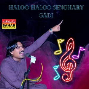 Haloo haloo senghary gadi