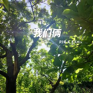 DYD-我们俩 DJ张灵玉RMix