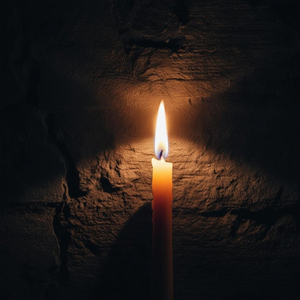 The light in the dark