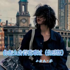 你怎么舍得我难过 (伤感版)