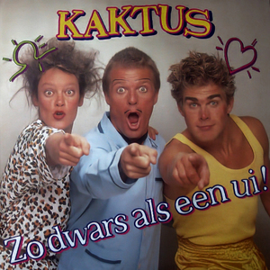 Meneer Kaktus Slaapt