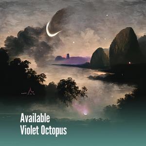 Monthly Silver Kingfisher