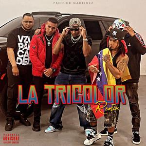 La Tricolor (Zarcaismo, David Saez, Dr Joyns, NotFalle & Kobeat Remix)