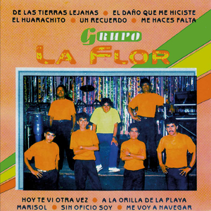 Hoy Te Vi Otra Vez
