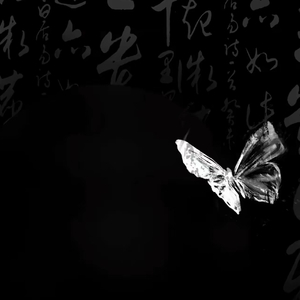 你才不是电子蝴蝶 你是我在异地的爱人