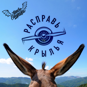 Расправь крылья (Instrumental)