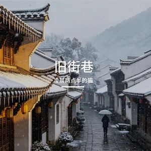 凌晨两点半的猫 - 旧街巷_L