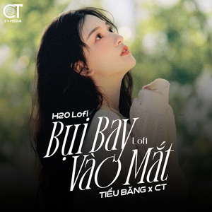 Bụi Bay Vào Mắt (Lofi)