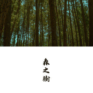 煙火的餘燼