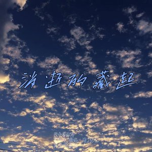 消逝的藏起