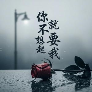 你就不要想起我