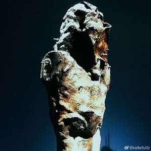 【FREE】FutureInterlude