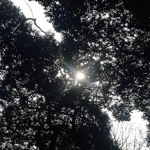 Mr.&Ms.Sunshine（Prod.by Elyonbeats）