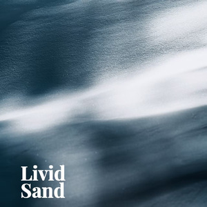 【Free】Livid Sand/孟菲斯/TopbarryxDracbaby type beat