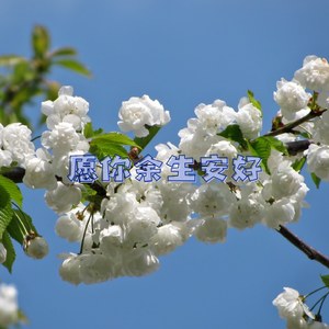 隔着银河的距离相拥