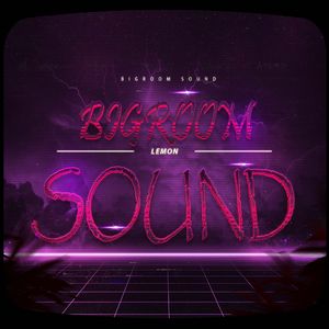 BigRoom Sound