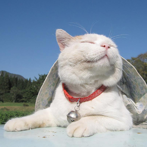 百万点击超然剪辑BGM