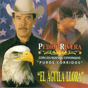 Olfatenado el Animal