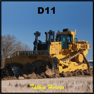 D11