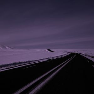 Gentle Rain Nourishing a Lush Jungle Canopy Where Exotic Creatures Thrive