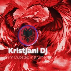 Kristjani Dj Creation Dubstep Instrumental (Official Audio Music)
